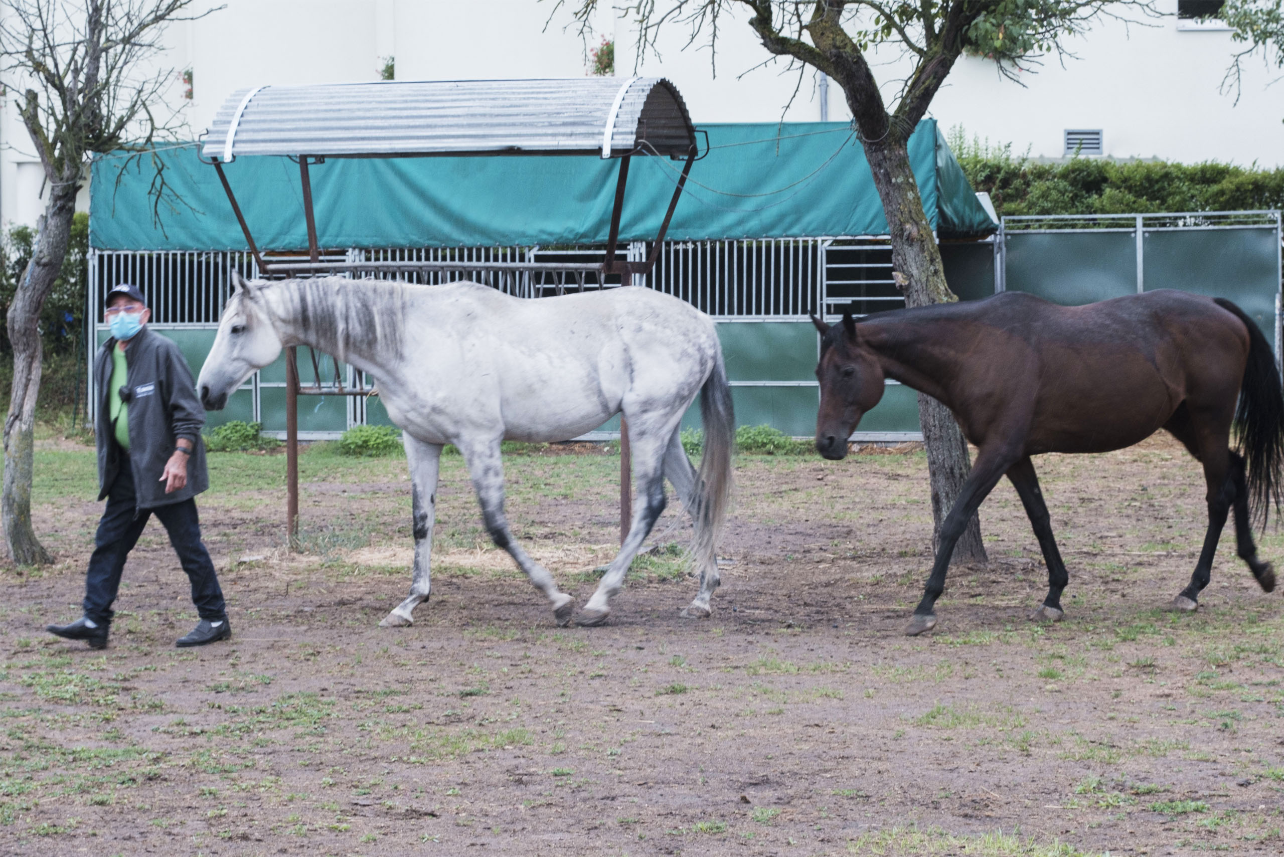 bien-etre-cheval-2020-les-amis-du-cheval-strasbourg