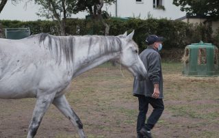 bien-etre-cheval-2020-les-amis-du-cheval-strasbourg