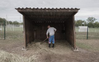 nettoyage-pre-association-les-amis-du-cheval-strasbourg