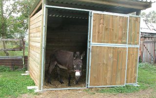 ane-abri-association-les-amis-du-cheval-strasbourg