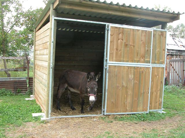 ane-abri-association-les-amis-du-cheval-strasbourg