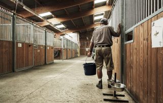 boxes-interieur-chevaux-les-amis-du-cheval-strasbourg