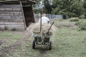 membres-association-les-amis-du-cheval-strasbourg