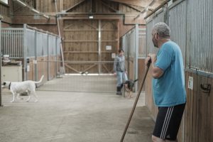 moment-membres-animaux-association-les-amis-du-cheval-strasbourg