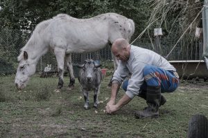 nourrissage-cheval-chevre-association-les-amis-du-cheval-strasbourg