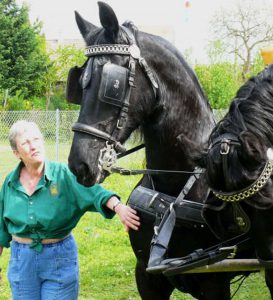 membre-marthe-schaeffer-association-les-amis-du-cheval-strasbourg