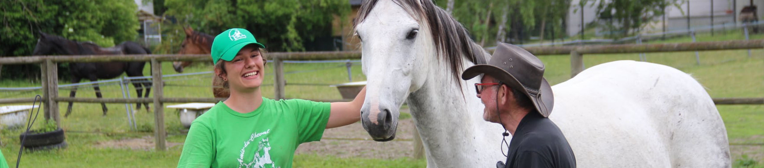 don-soins-chevaux-association-les-amis-du-cheval-strasbourg