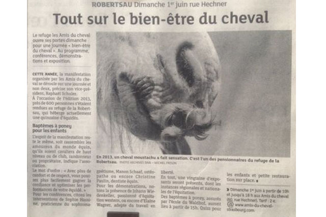 article-dna-les-amis-du-cheval-strasbourg