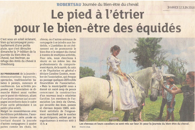 journee-bien-etre-du-cheval-association-les-amis-du-cheval-strasbourg-juin-2018